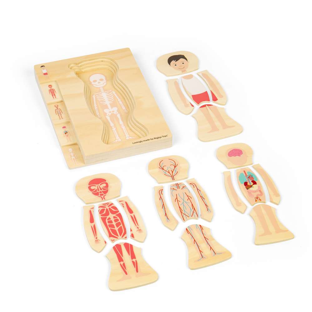 Anatomy Puzzle - Boy - Toby Tiger