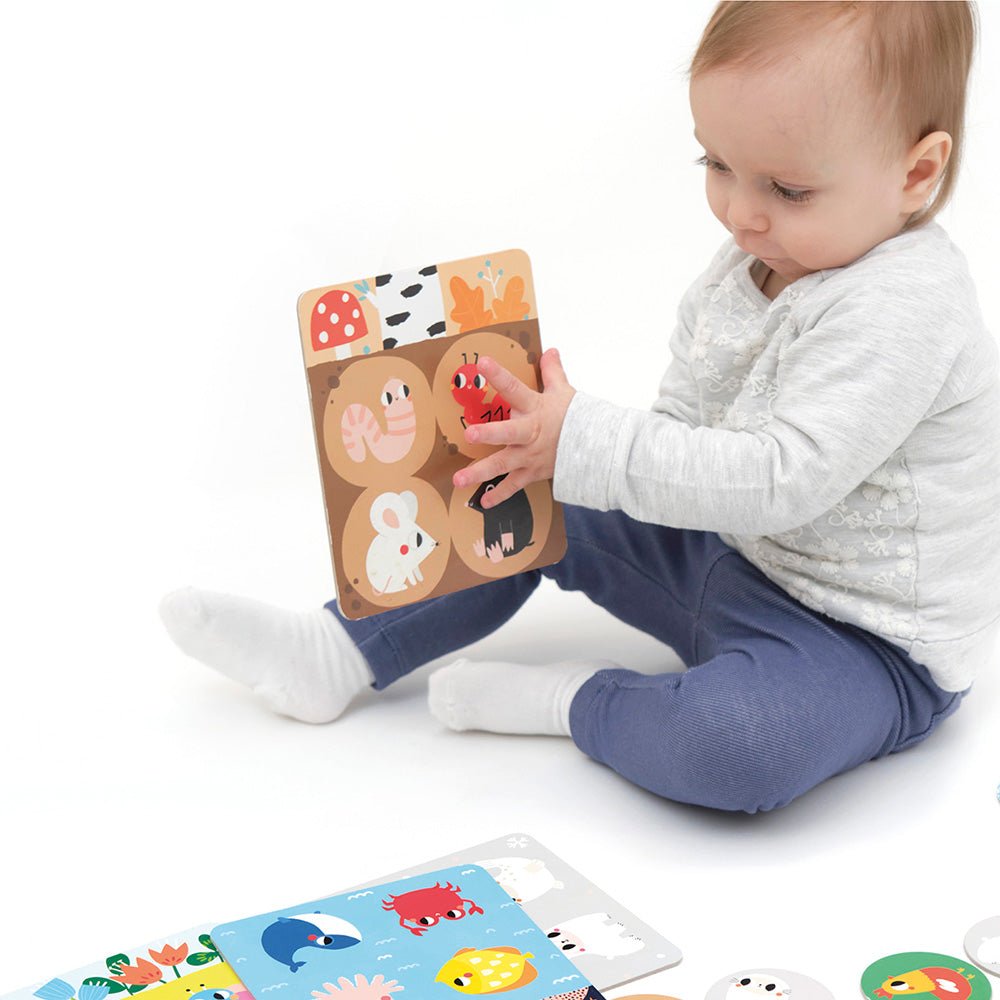 Banana Panda Habitat Bingo Game - Toby Tiger