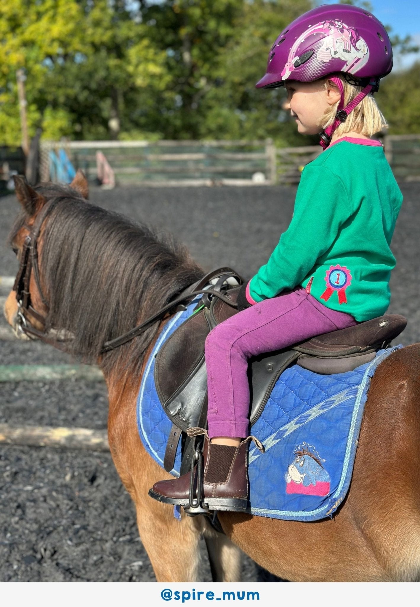 Organic Green Horse Applique Long Sleeved T-Shirt - Toby Tiger