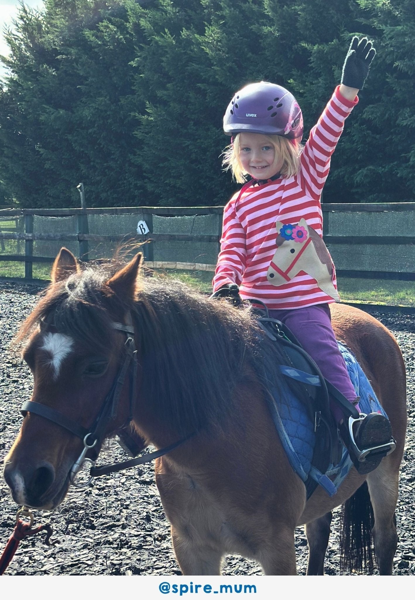 Organic Pink Horse Applique Long Sleeved T-Shirt - Toby Tiger