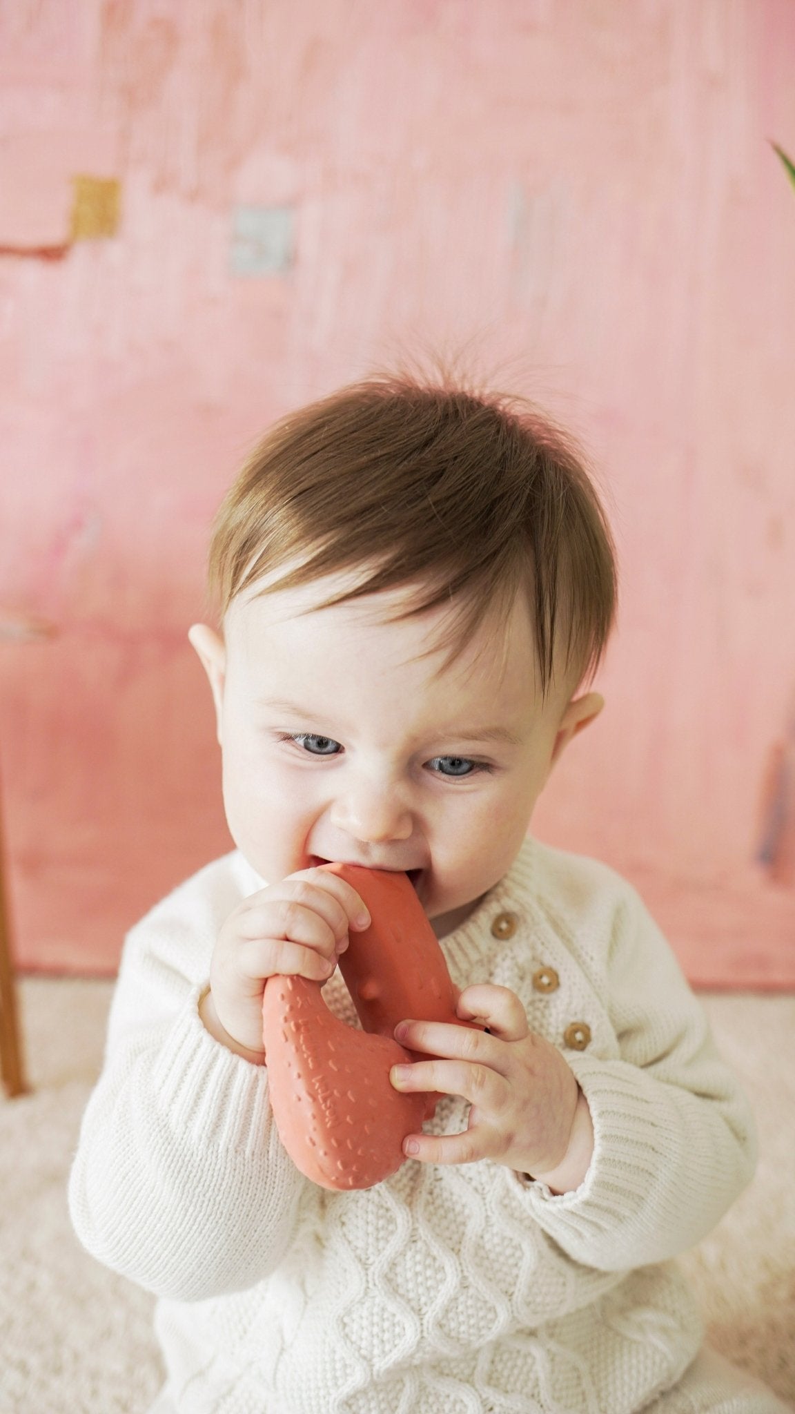 Oli & Carol x Donna Wilson Cyril Squirrel Fox Teether - Toby Tiger