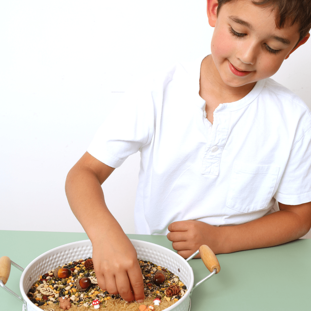 Woodland Sensory Kit - Toby Tiger