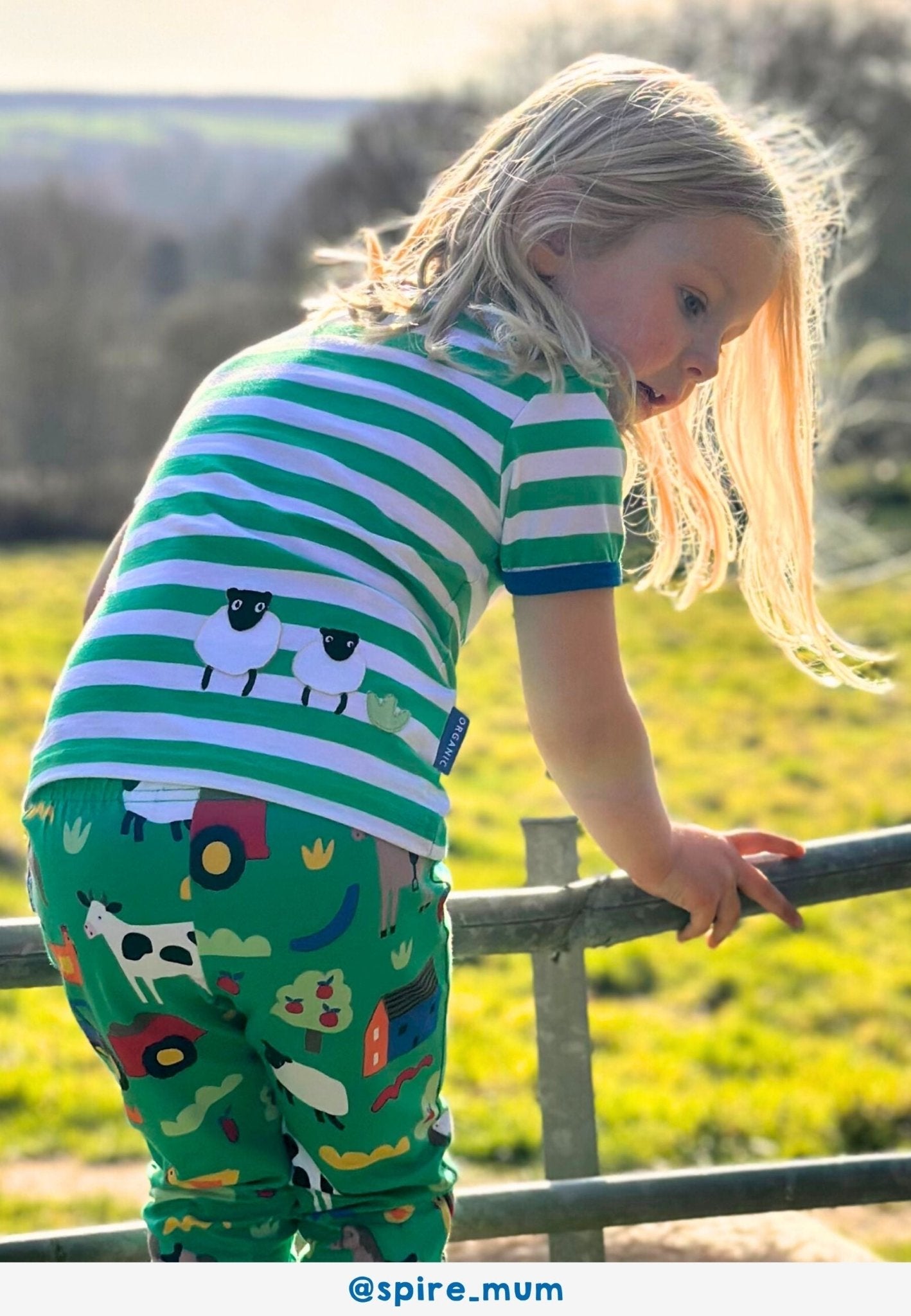Organic Hillside Sheep Applique Short Sleeved T-Shirt - Toby Tiger