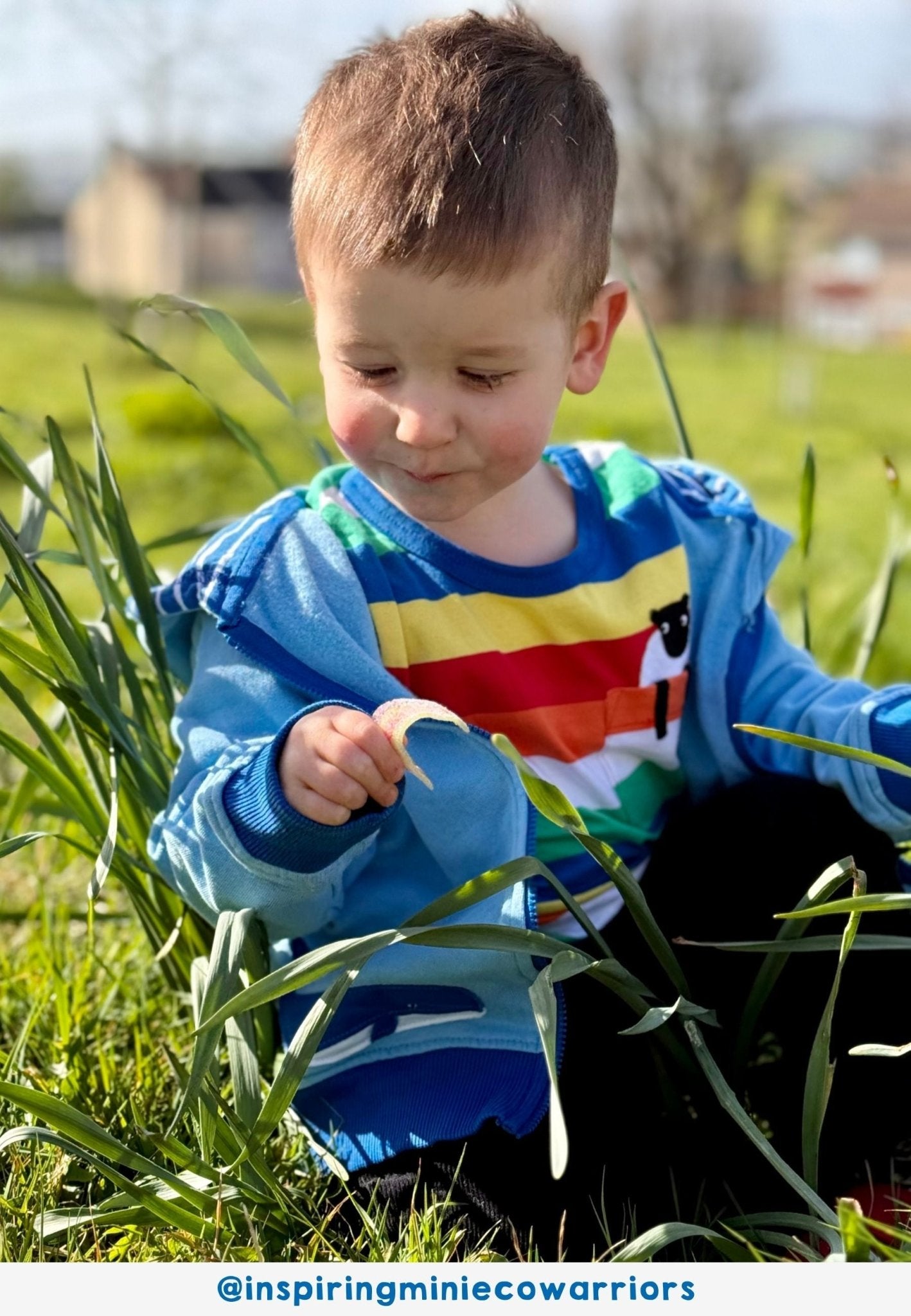 Organic Rainbow Sheep Pocket Applique Short - Sleeved T-Shirt - Toby Tiger