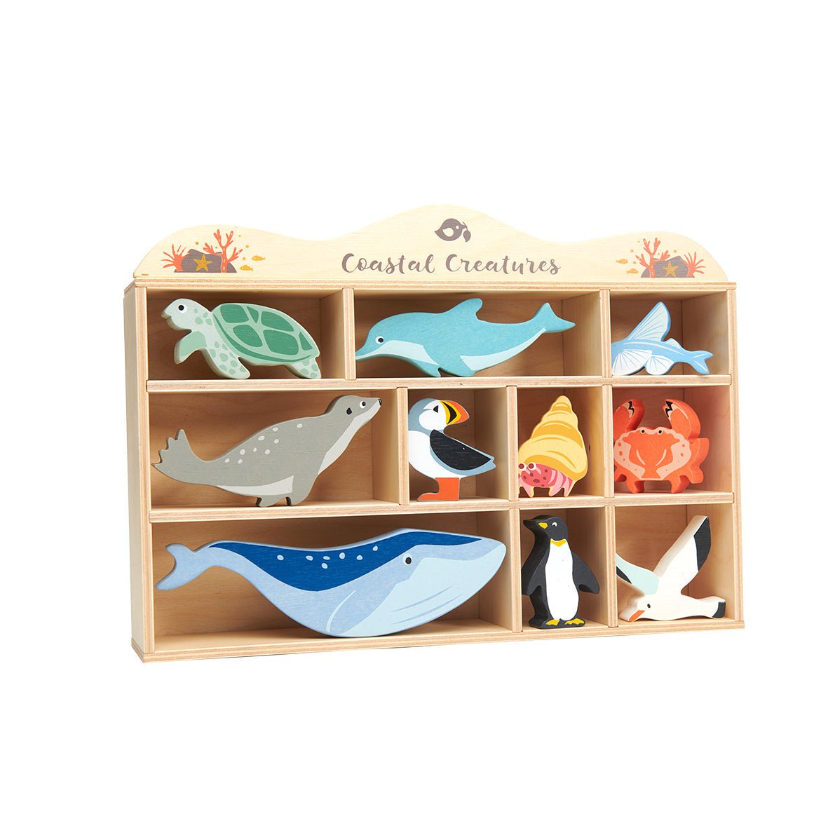 10 Coastal Creatures Shelf Set - Toby Tiger