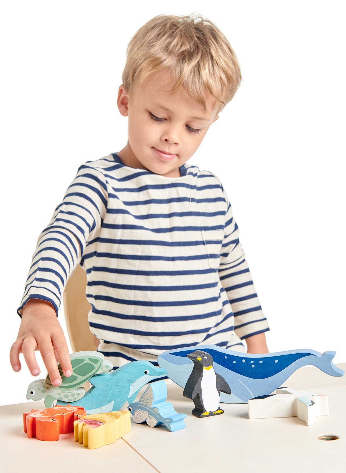 10 Coastal Creatures Shelf Set - Toby Tiger