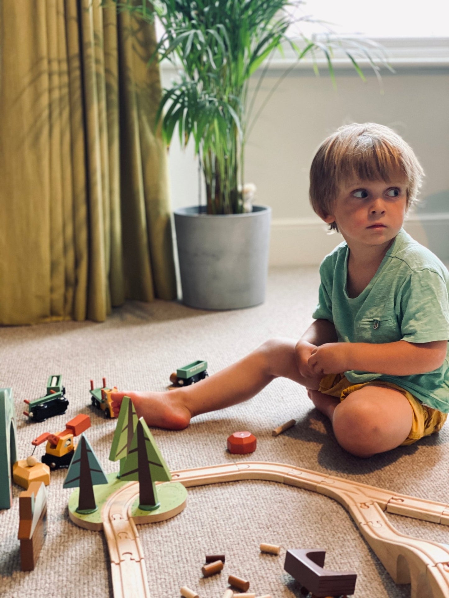 Wild Pines Train Set - Toby Tiger