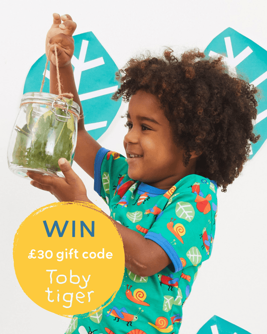 🐝 Celebrate World Bee Day with Our Buzzing Bee Giveaway! 🌼 - Toby Tiger