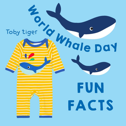 How You Can Celebrate World Whale Day - Toby Tiger
