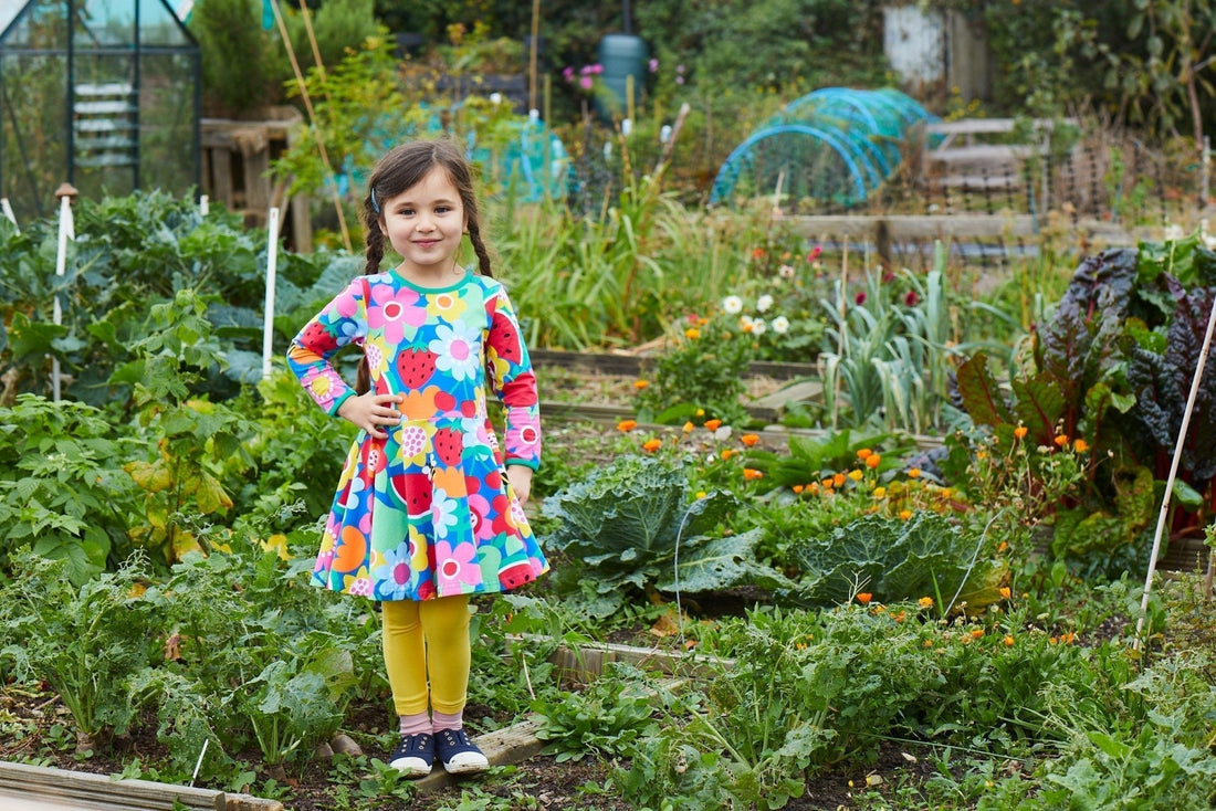 Looking to do your part in protecting the planet? - Toby Tiger UK