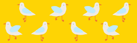 Squawk-tacular Style with our Seagulls Collection! - Toby Tiger UK