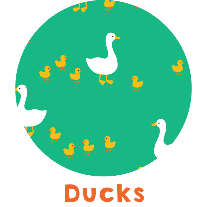 Ducklings: Adorable Outfits for Your Little Quackers - Toby Tiger UK Retail