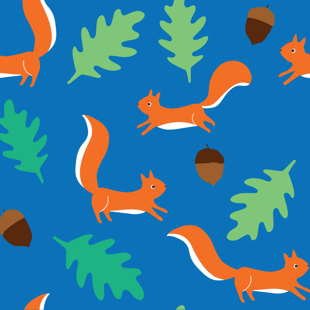 Nutty About Squirrels – Organic Kidswear & Baby Clothes - Toby Tiger