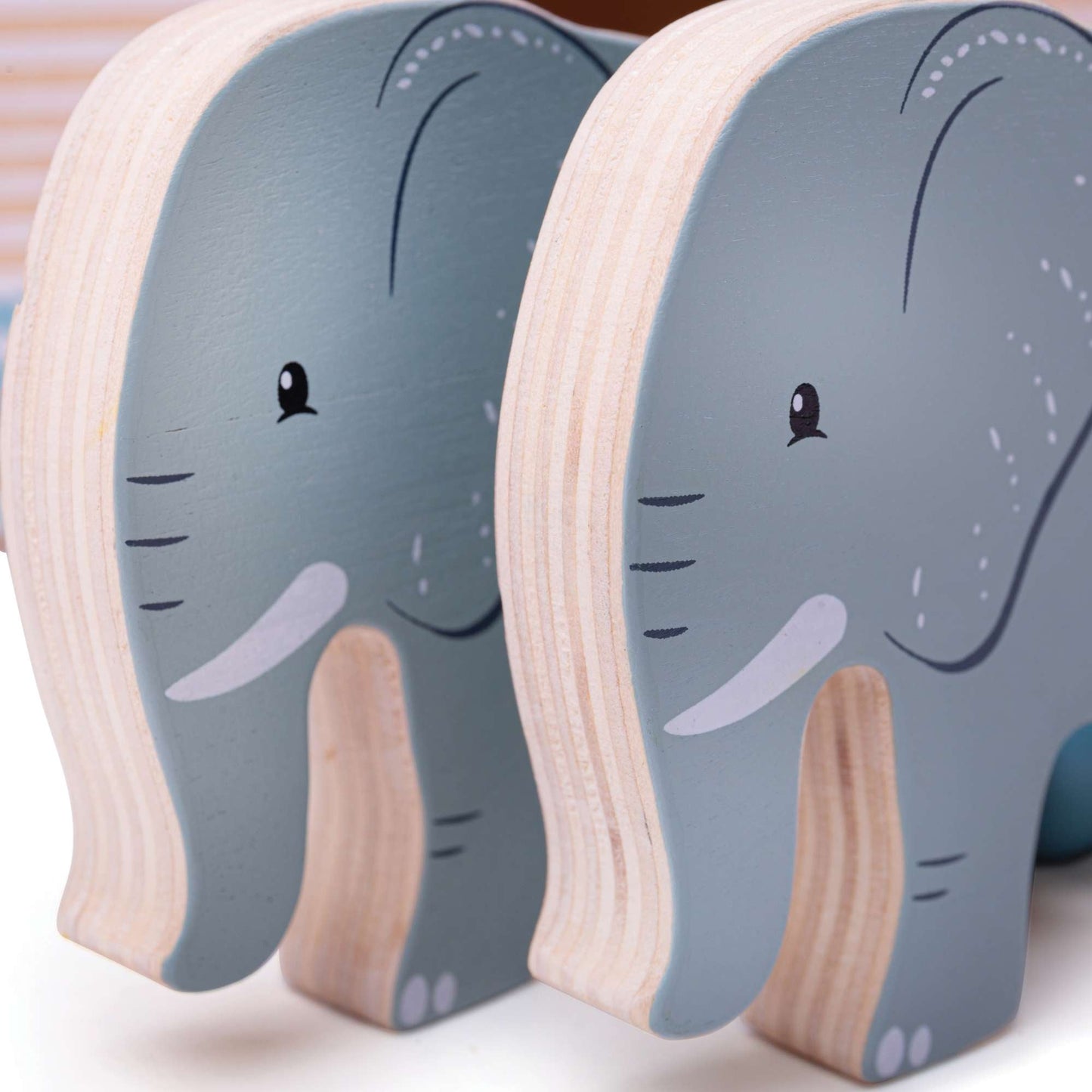 Noah's Ark - FSC® Certified