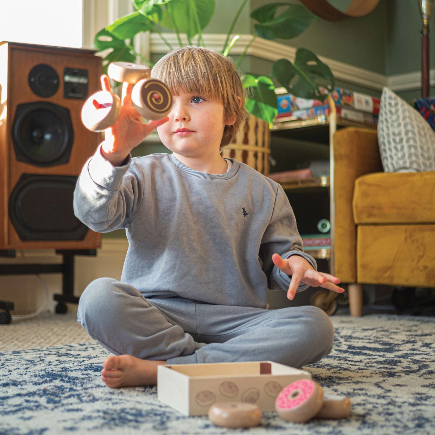 Doughnut Crate - Toby Tiger