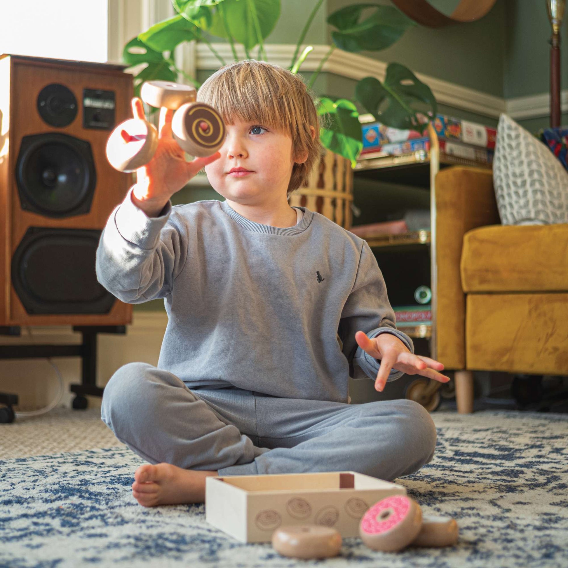 Doughnut Crate - Toby Tiger