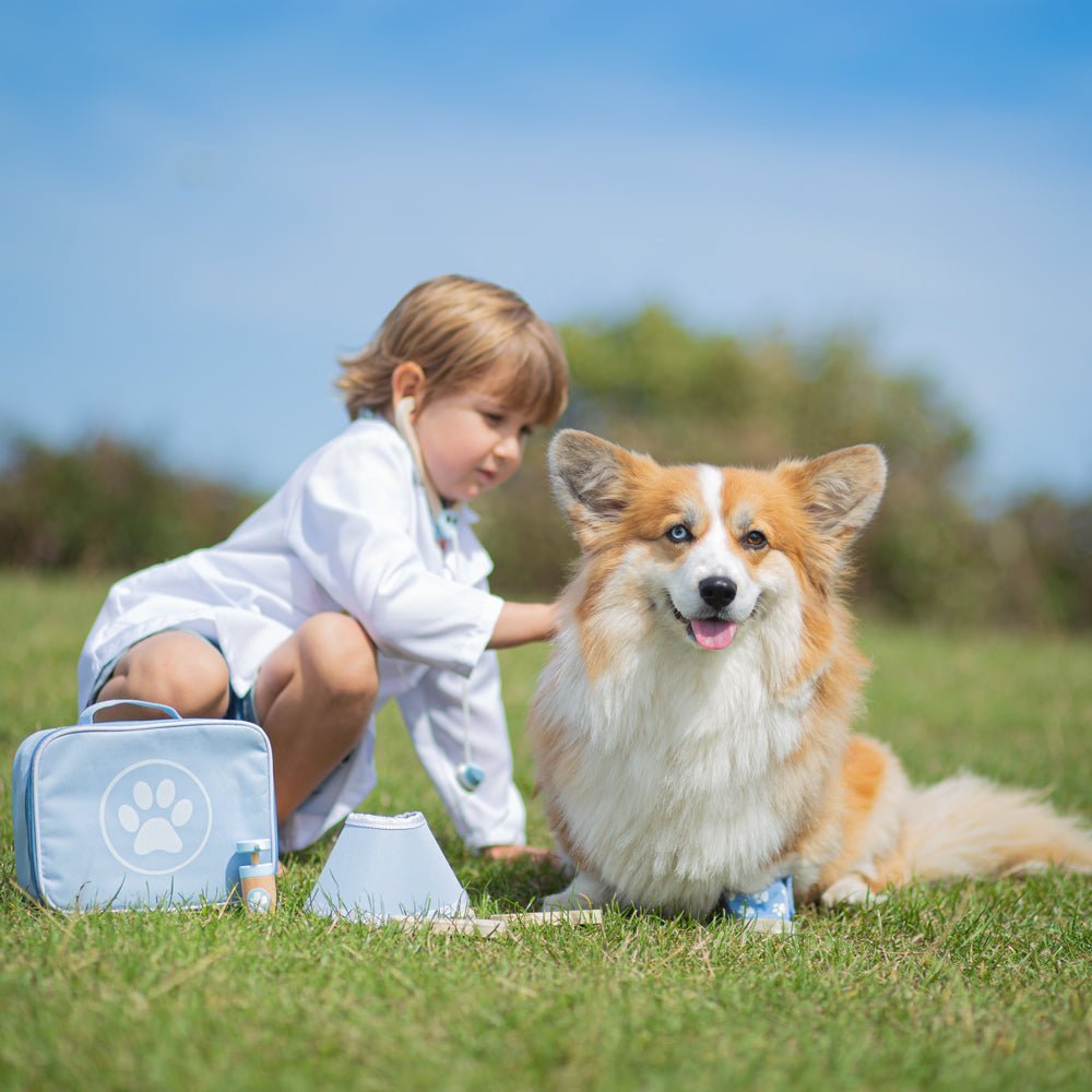 Veterinary Set - Toby Tiger UK Retail