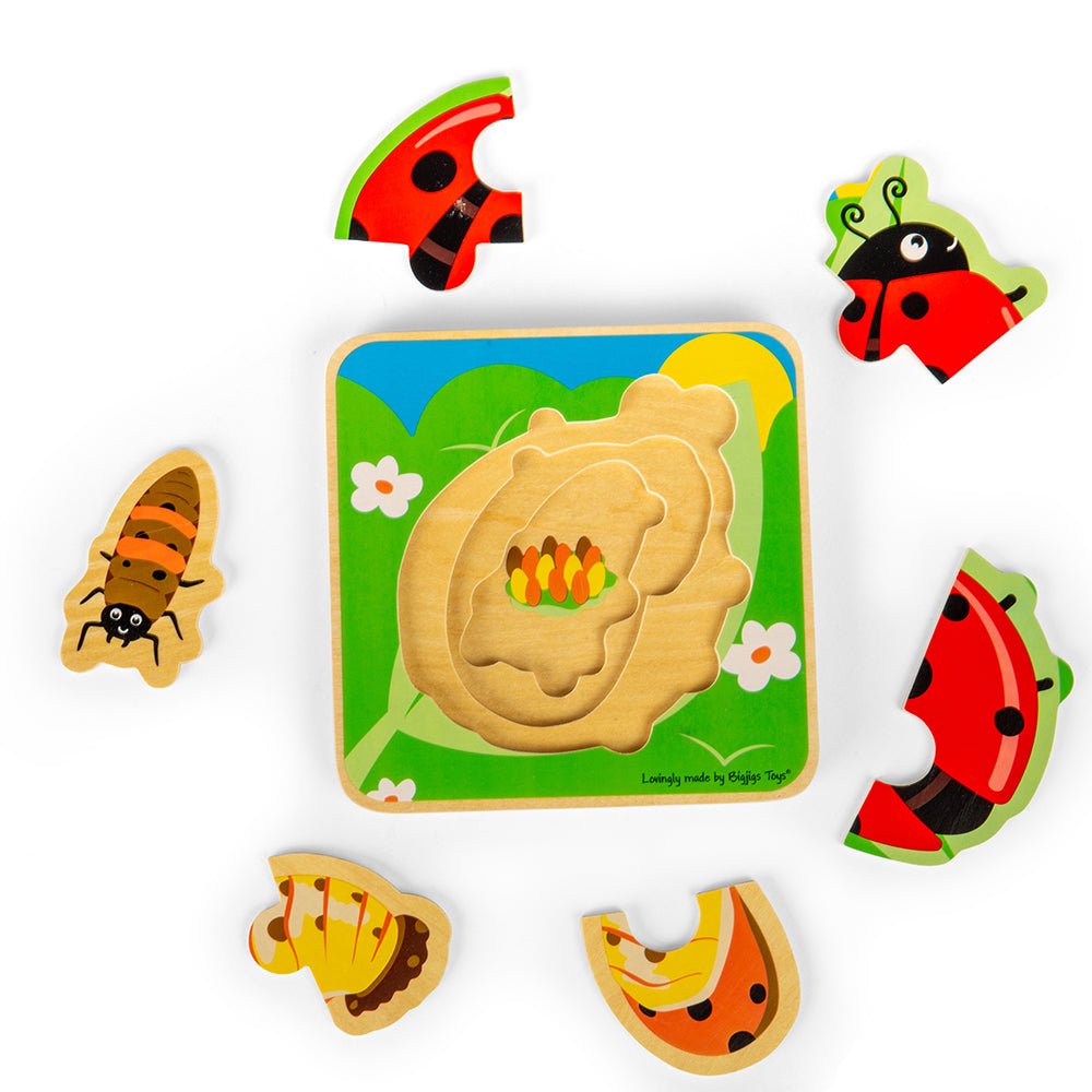 Lifecycle Layer Puzzle - Ladybug - Toby Tiger