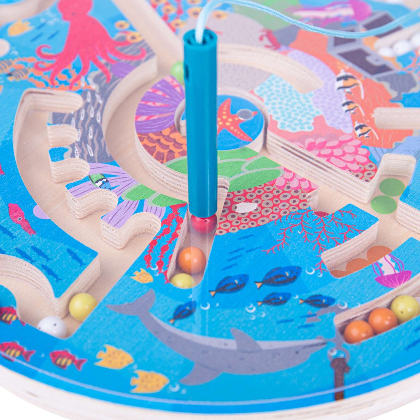 Aquatic Maze Puzzle - Toby Tiger UK