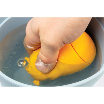 Compagnons de bain
