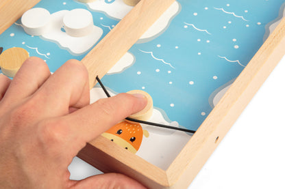 Jeu de palet sur glace