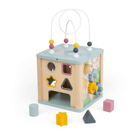 Activity Cube - Toby Tiger