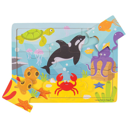 Tray Puzzle (Underwater)