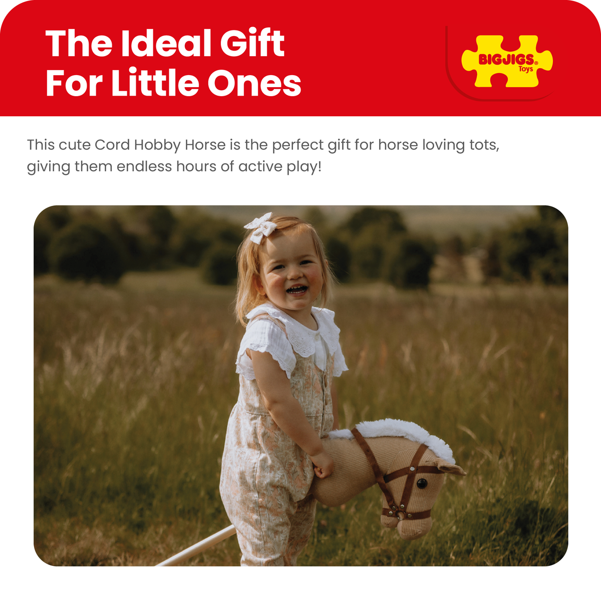 Cord Hobby Horse