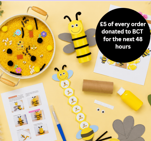 Bee Activity Kit - Toby Tiger UK