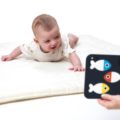 Banana Panda High Contrast Baby Cards Newborn - Toby Tiger