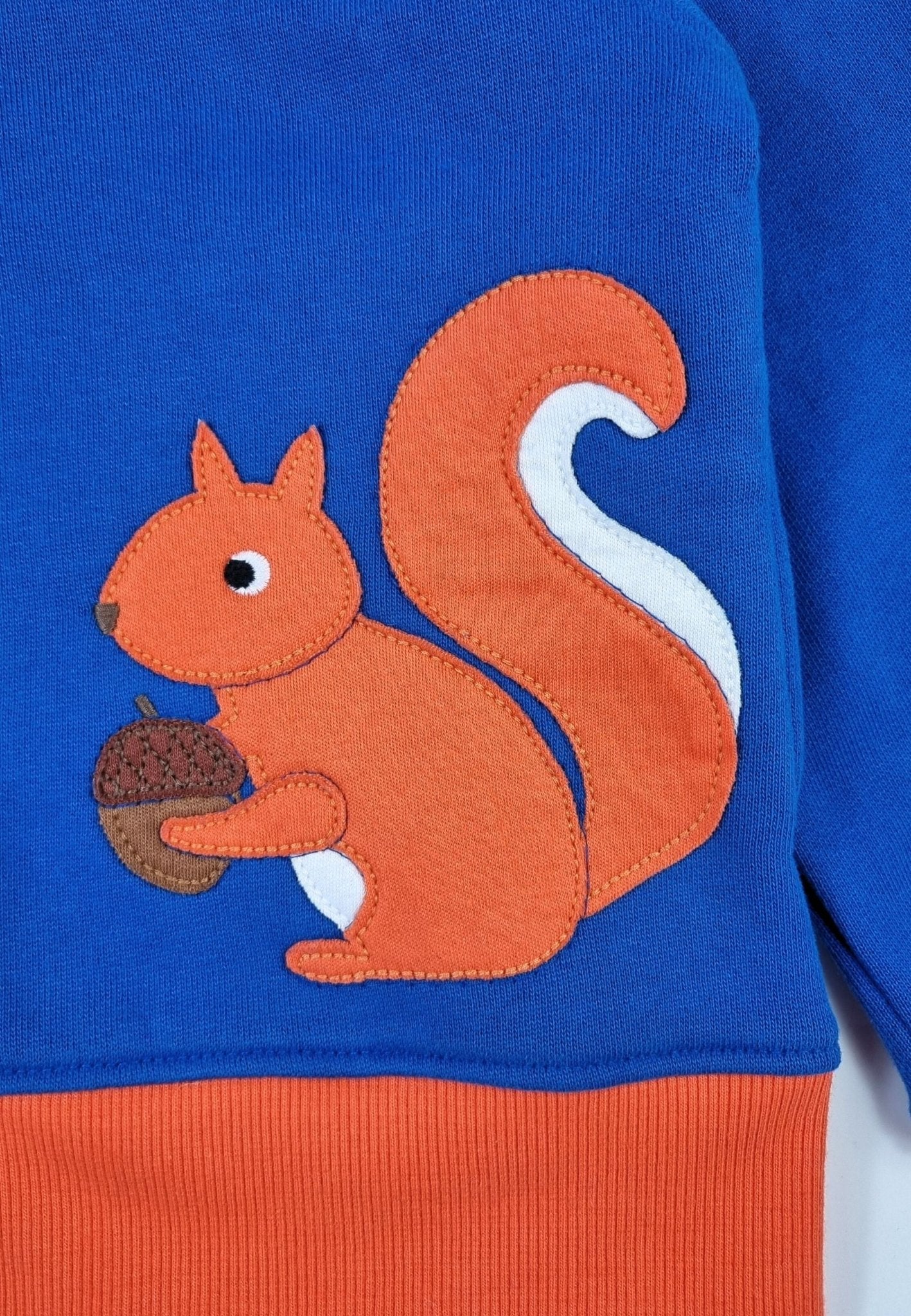 Organic Squirrel Applique Hoodie - Toby Tiger