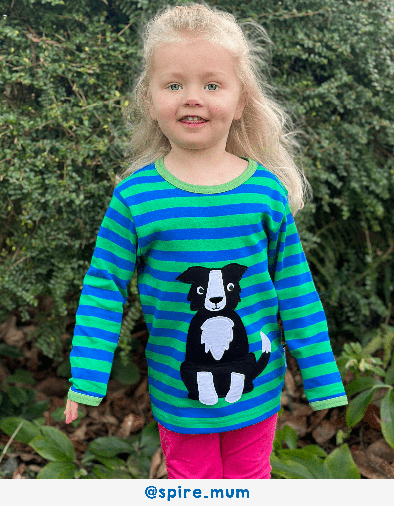 Organic Dog Applique T-Shirt - Toby Tiger