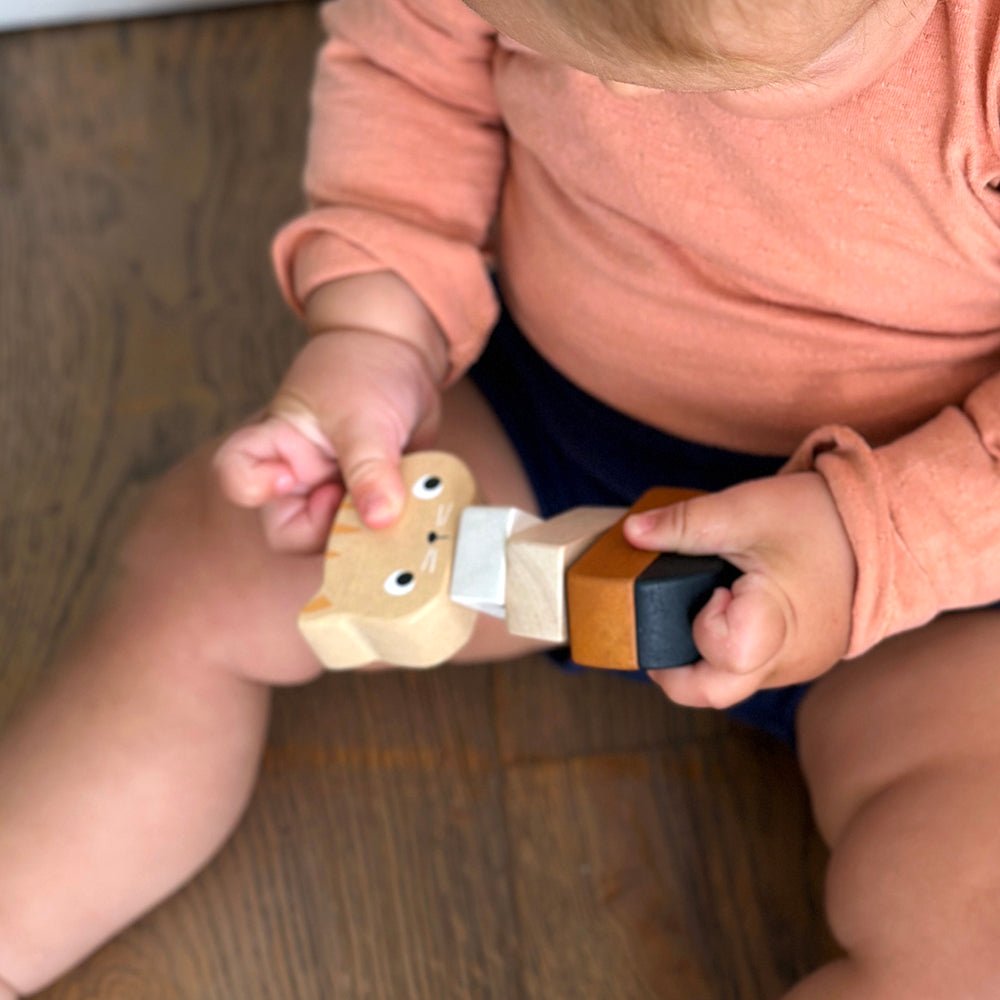 Stacking Kitten - Toby Tiger