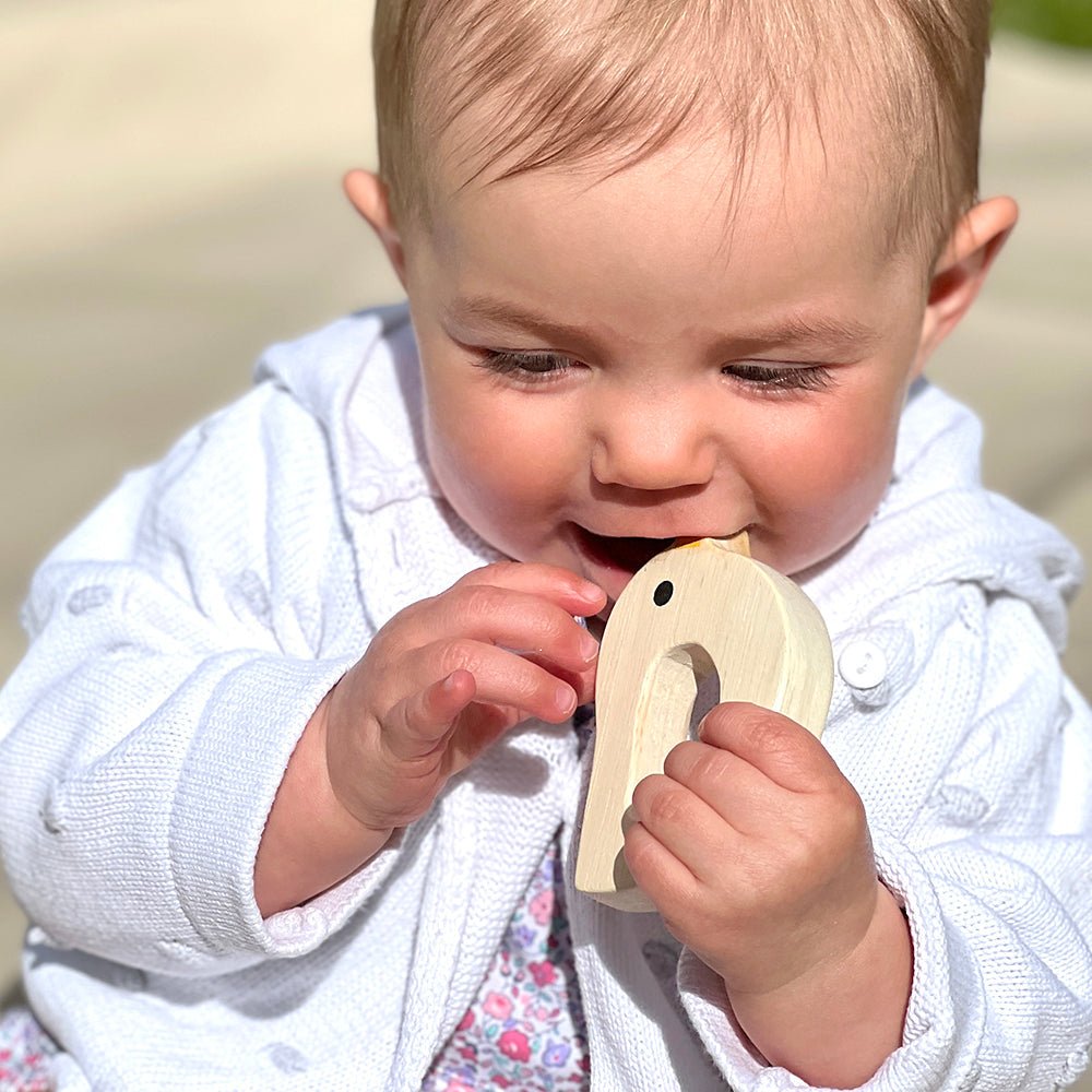 Bird & Kitten Teethers - Toby Tiger