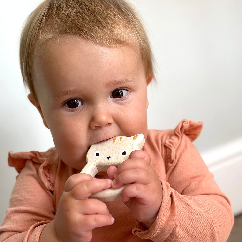 Bird & Kitten Teethers - Toby Tiger