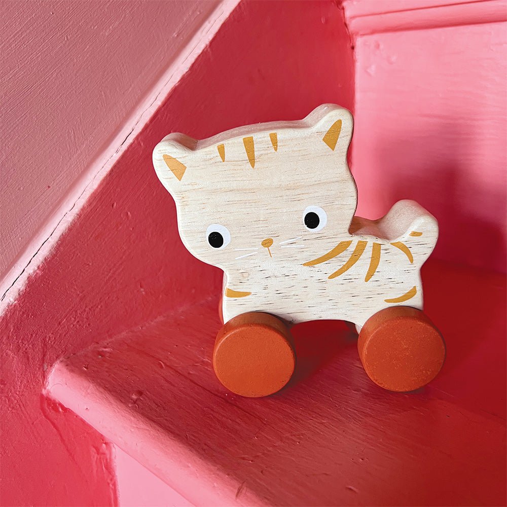 Kitten On Wheels - Toby Tiger