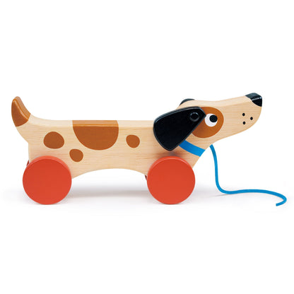 Puppy On Wheels - Toby Tiger