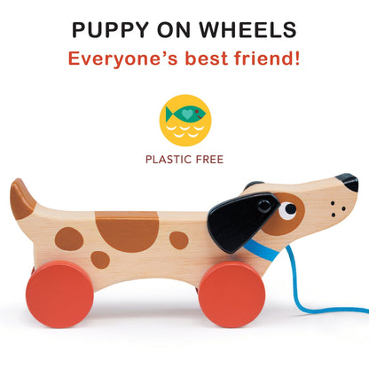 Puppy On Wheels - Toby Tiger