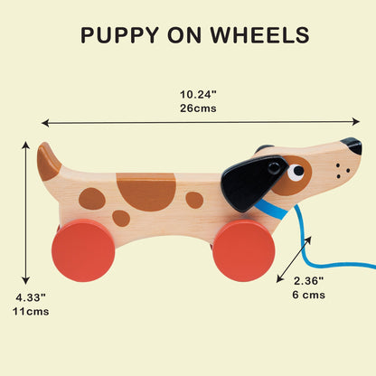 Puppy On Wheels - Toby Tiger