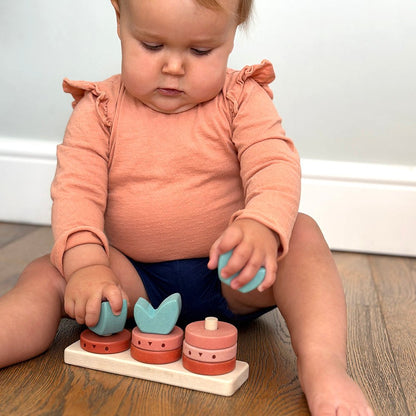 Counting Vegetables - Toby Tiger