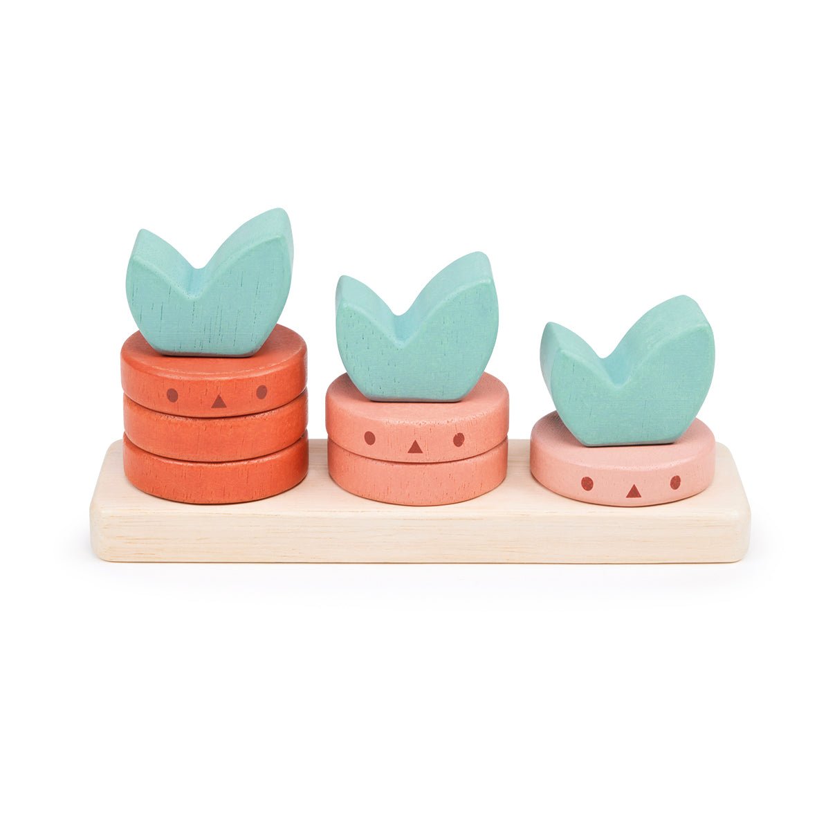 Counting Vegetables - Toby Tiger