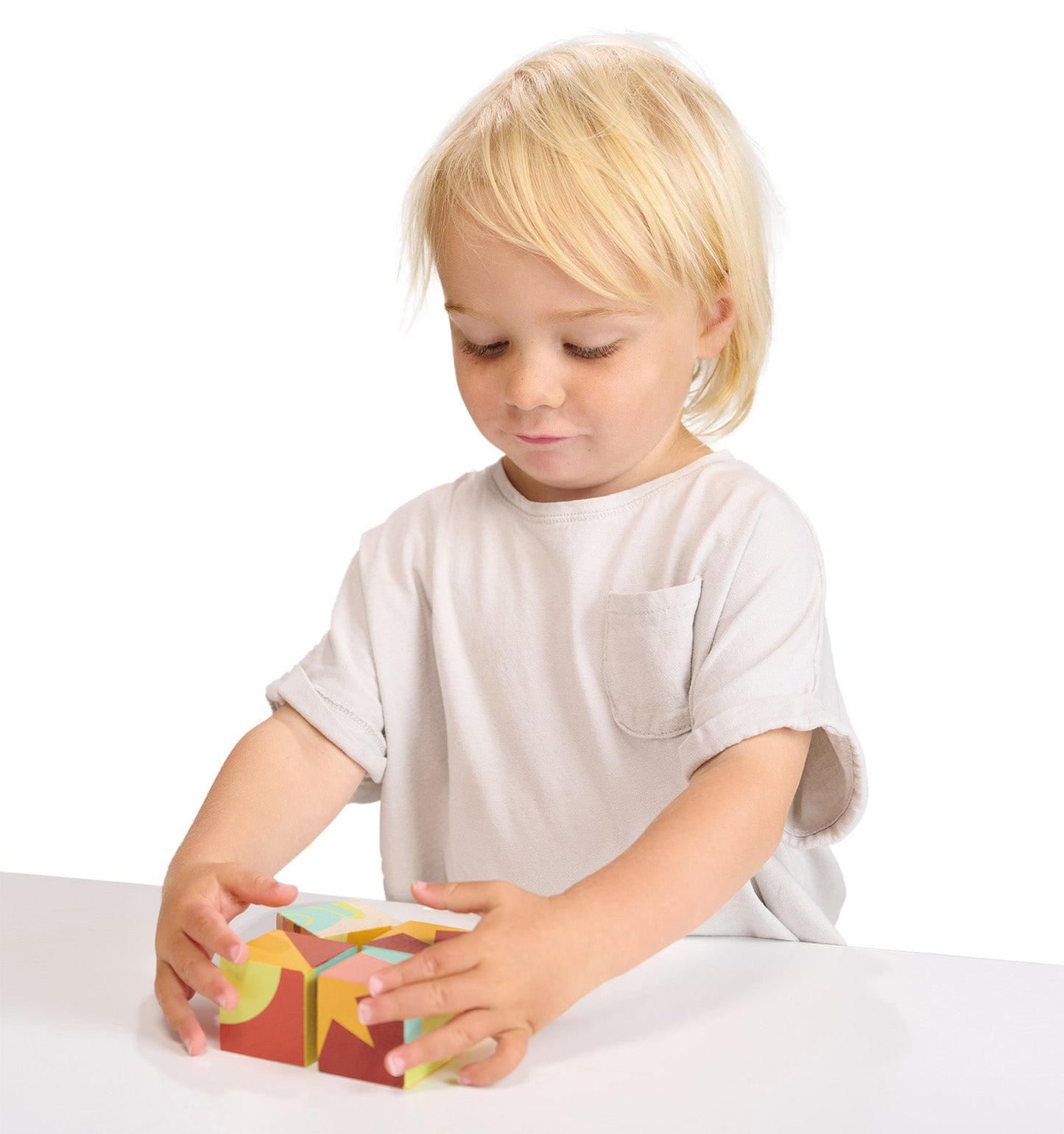 Toy Colour Blocks - Toby Tiger