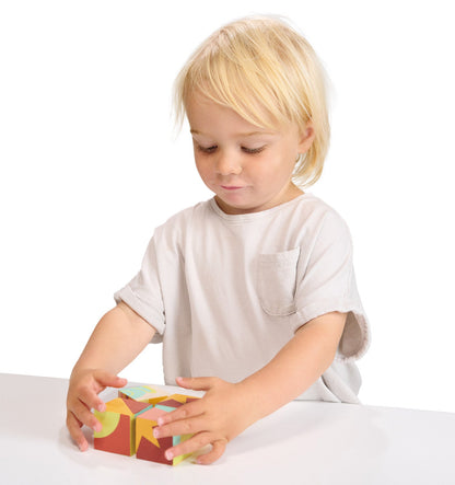 Toy Colour Blocks - Toby Tiger