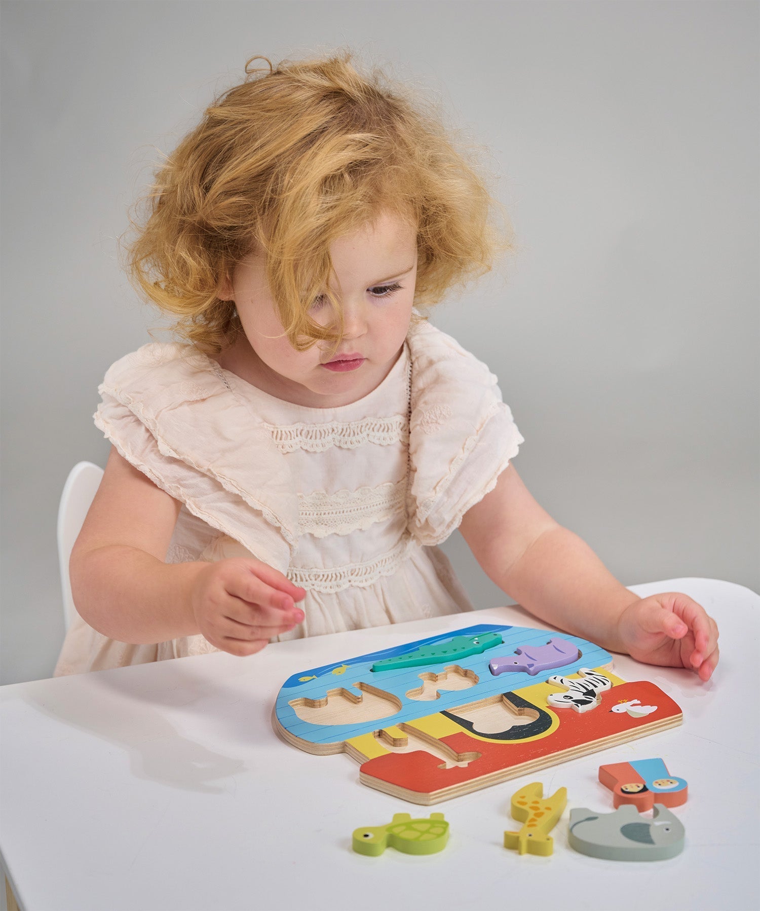 Shape Sorting Ark Tray - Toby Tiger