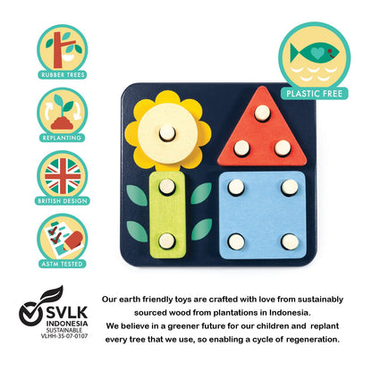 Count and Match Peg board - Toby Tiger