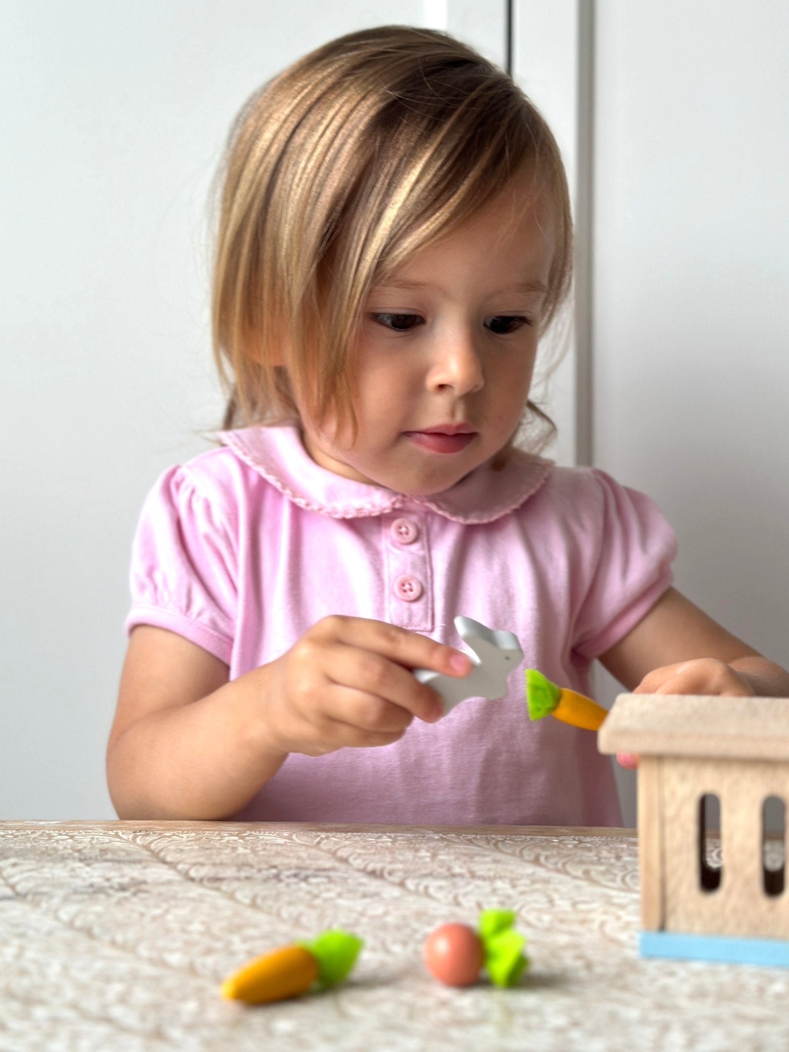 Rabbit Hutch Pet Set - Toby Tiger