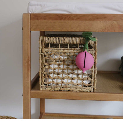 Oli & Carol Ramona the Radish Pacifier Case - Toby Tiger