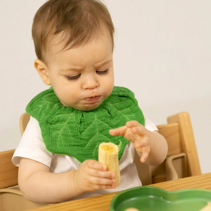 Oli&Carol Kendall the Kale Feeding Bib - Toby Tiger