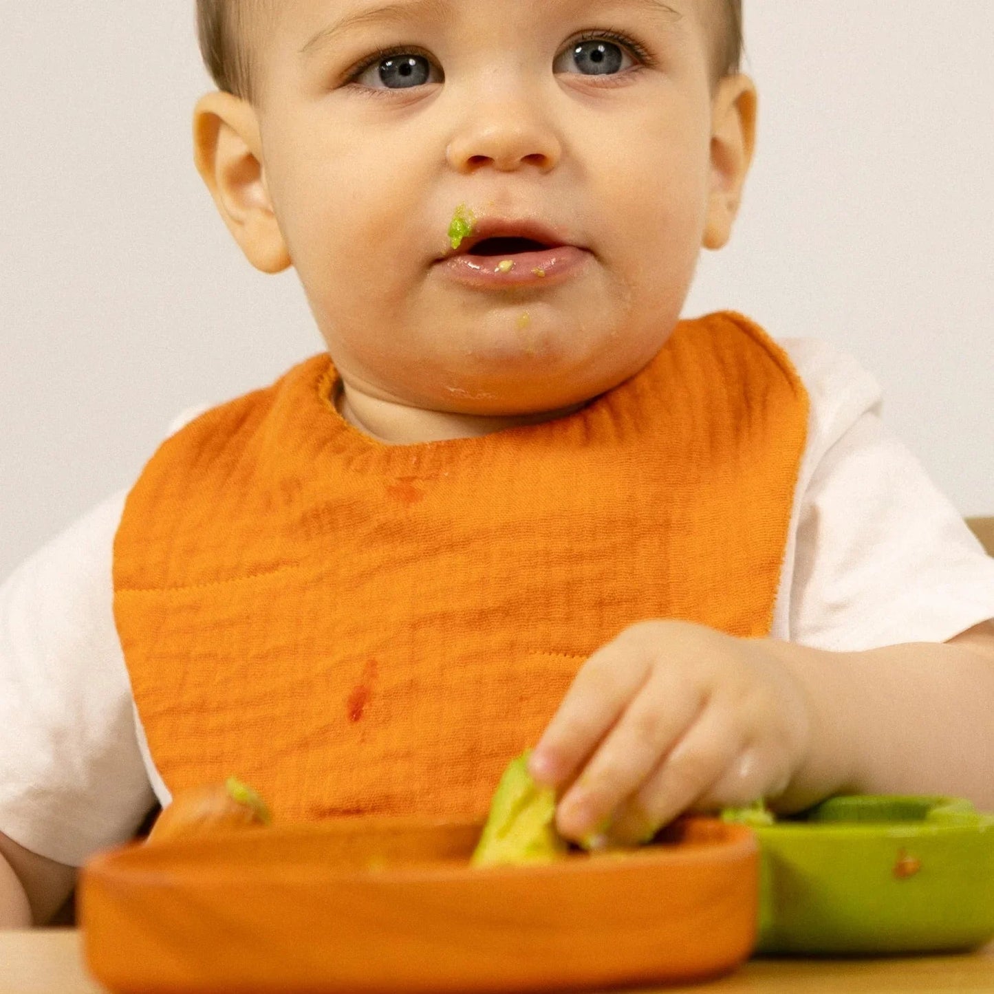 Oli&Carol Cathy the Carrot Feeding Bib - Toby Tiger