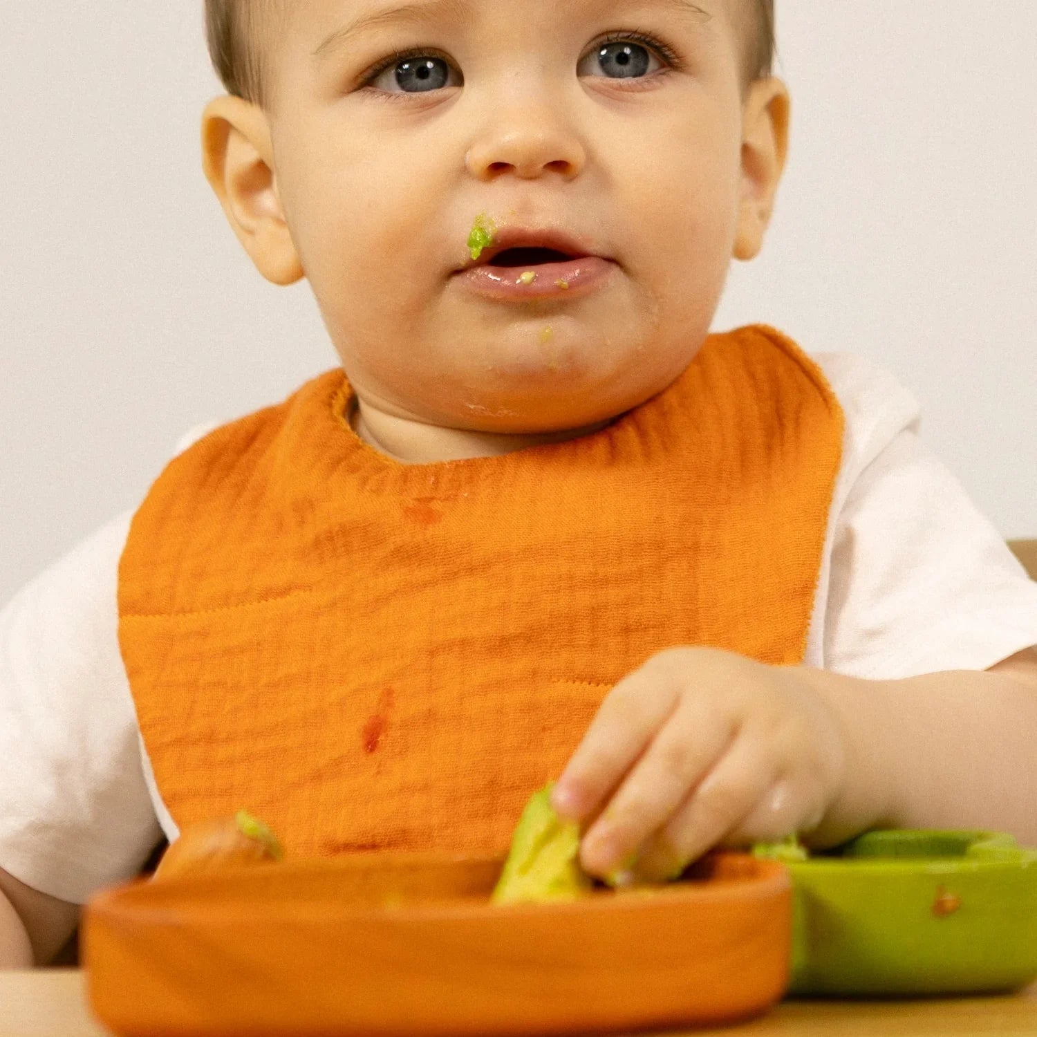 Oli&Carol Cathy the Carrot Feeding Bib - Toby Tiger